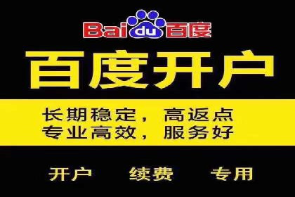 百度推广案例：精准锁定目标客户，提升转化率